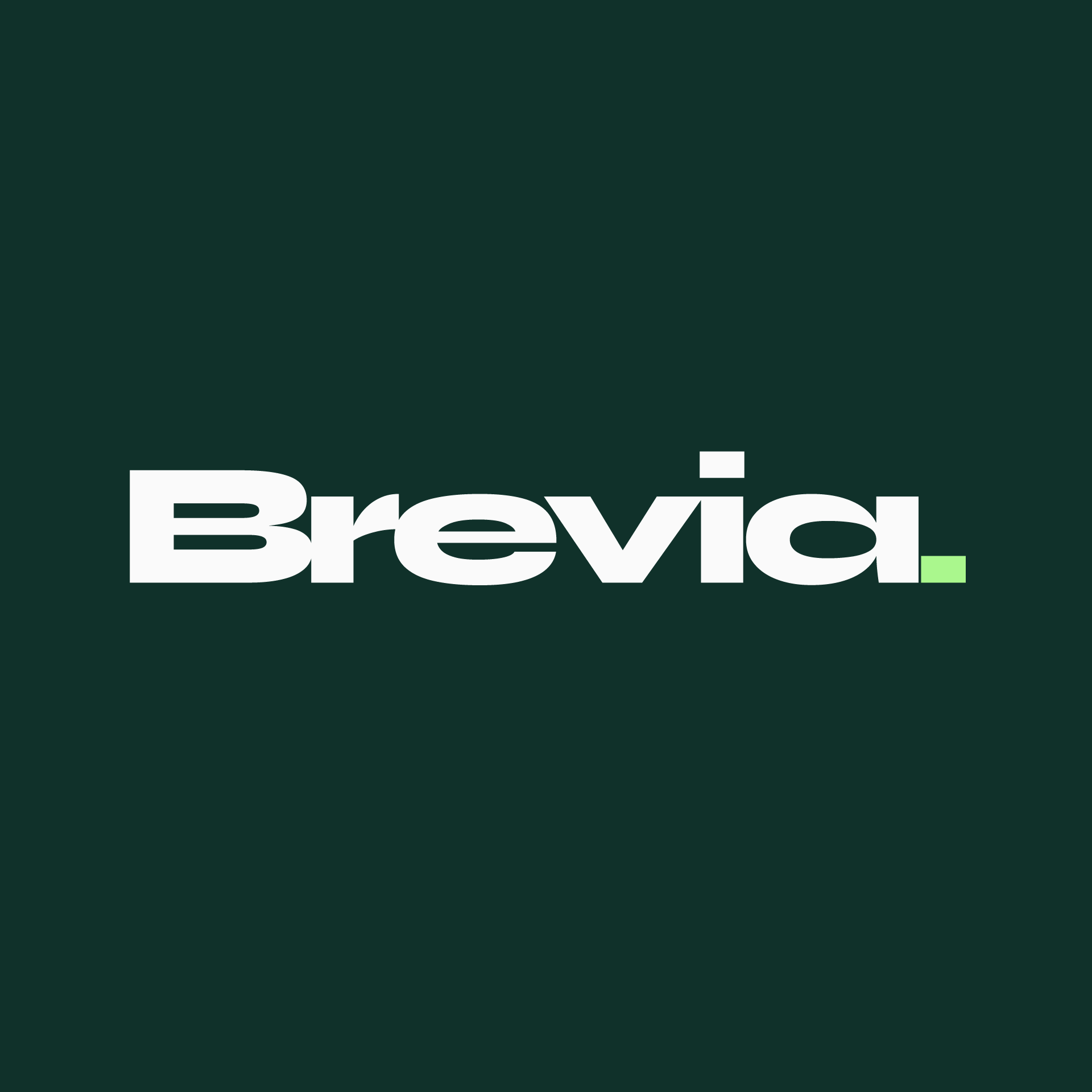Brevia Tech Solutions place picture